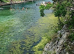 Natural Springs Pool